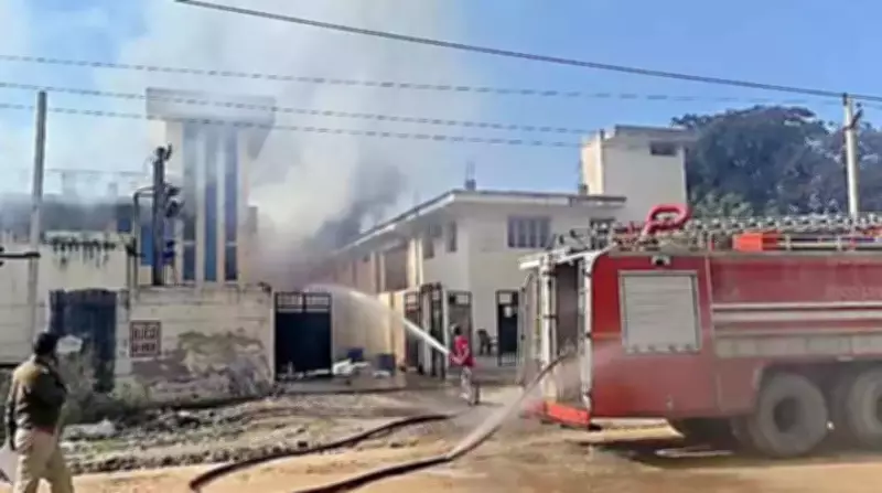 Illegal Firecracker Factory Blast in Rajasthan Kills 7 Workers, Injures 4 Critically