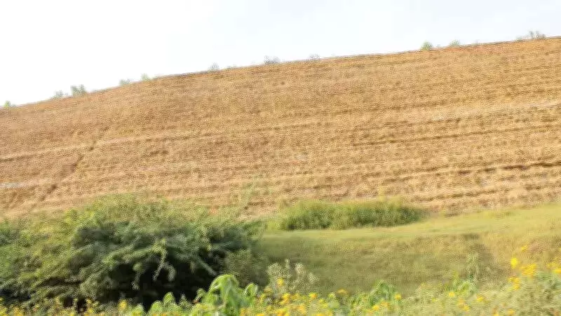 Illegal Gold Scavenging Persists Decades After Kolar Gold Mines Closure