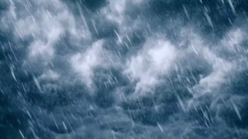 IMD Forecasts Dense Fog, Thunderstorms Across North, Central, Eastern India From Feb 3