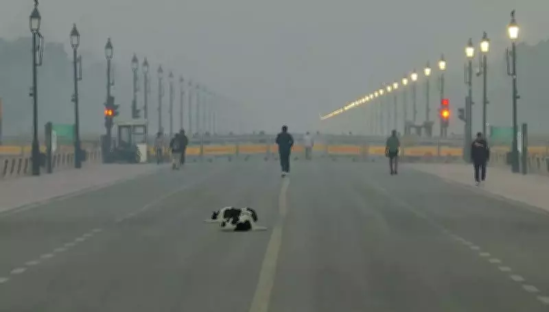 IMD Issues Yellow Alert for Delhi, Predicts Heavy Rainfall and Thunderstorms