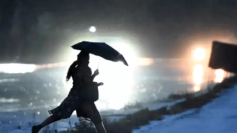 IMD Issues Yellow Alert for Five Kerala Districts Amid Heavy Rainfall Forecast