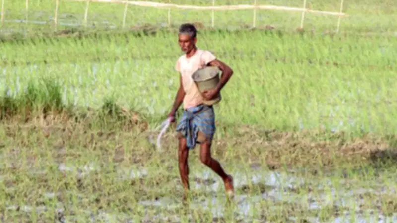 IMD Predicts Warmer February with Above Normal Temperatures Across India