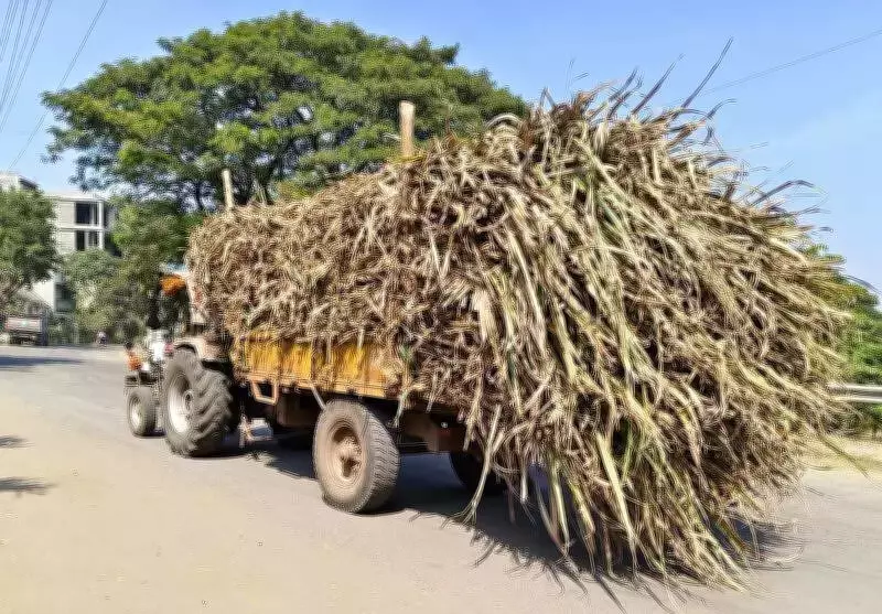 India Approves Additional 5 Lakh Tonnes Sugar Export to Stabilize Domestic Prices