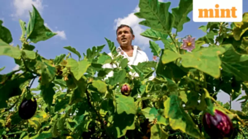 India-EU FTA: A New Dawn for Agri-Exports or Hidden Hurdles Ahead?