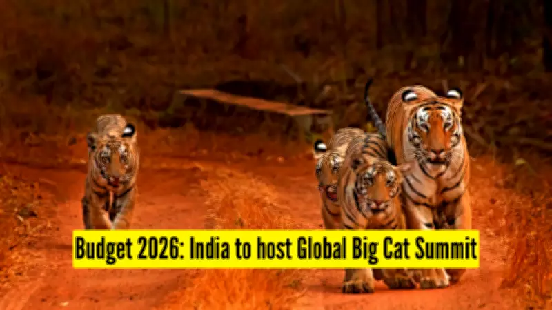 India to Host First Global Big Cat Summit in 2026-27, Announces Sitharaman in Budget