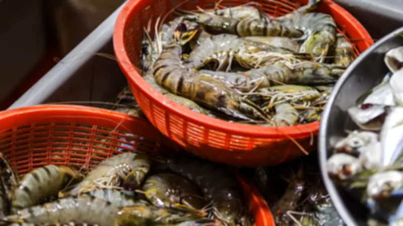 India-US Trade Deal: Andhra Shrimp Sector Eyes Revival with Tariff Reduction
