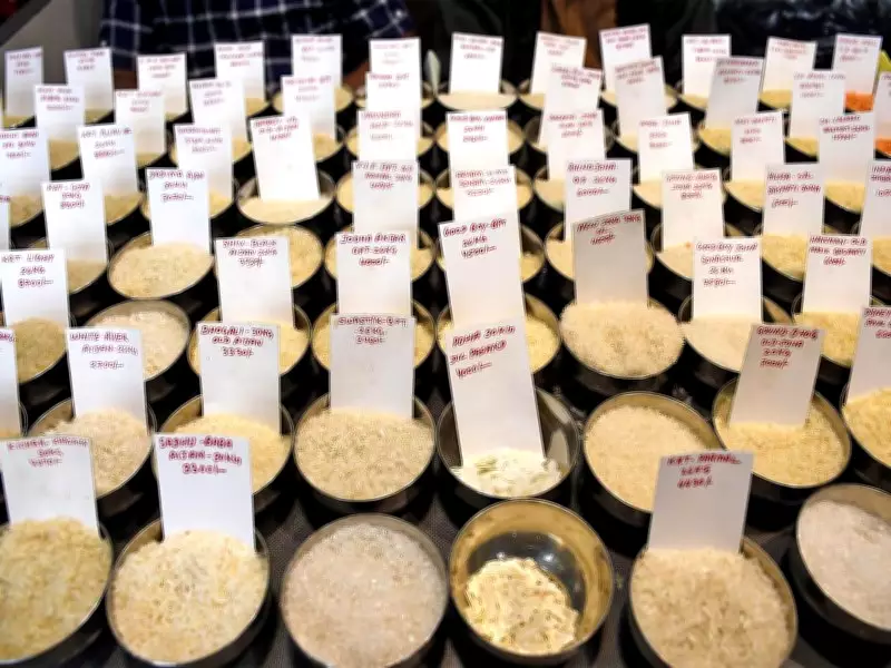 India-US Trade Deal to Boost Rice Exports, Restores Competitiveness with Thailand, Pakistan