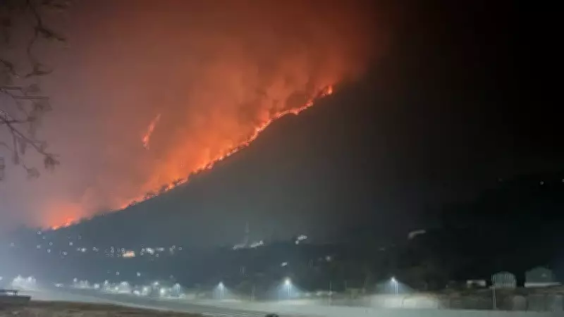 Indian Army and Air Force Battle Massive Forest Fire in Arunachal Pradesh's Walong