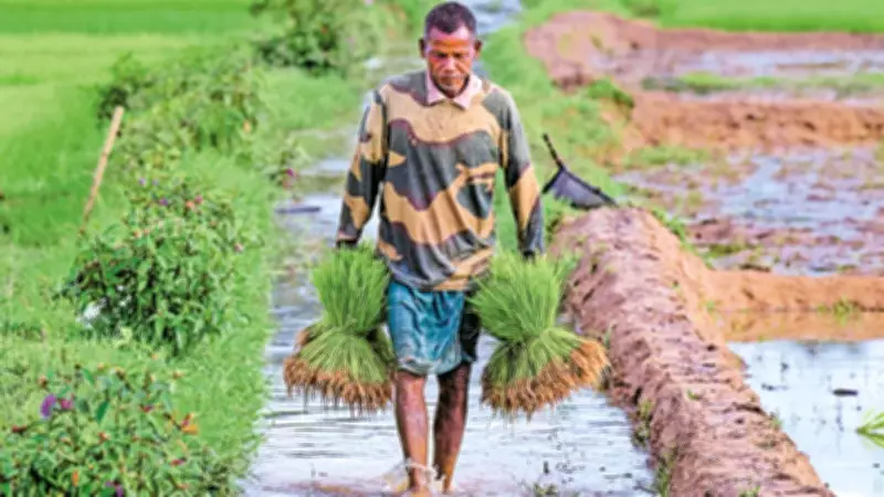 Indian Farmers Threaten Protests Over US Trade Deal's Agri Import Terms