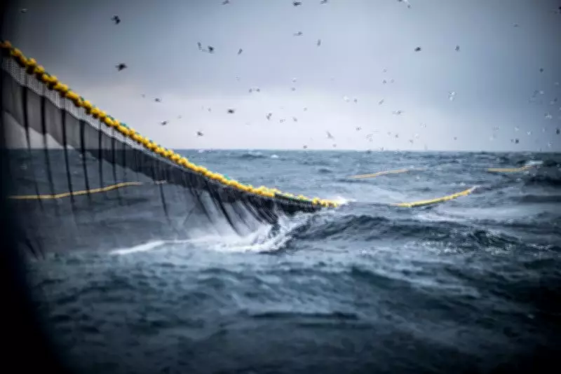 Indian High Commission Rejects Claims of Coast Guard Attack on Sri Lankan Fishermen