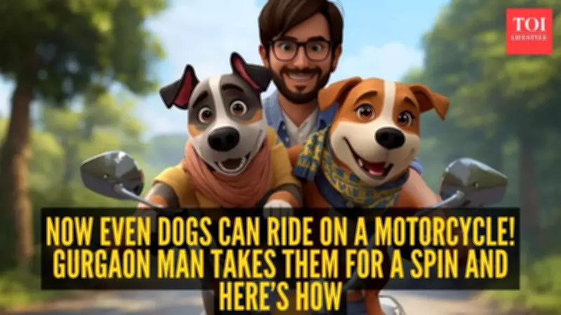 Indian Man Builds Custom Bike Trailer for His Dogs, Inspires Internet