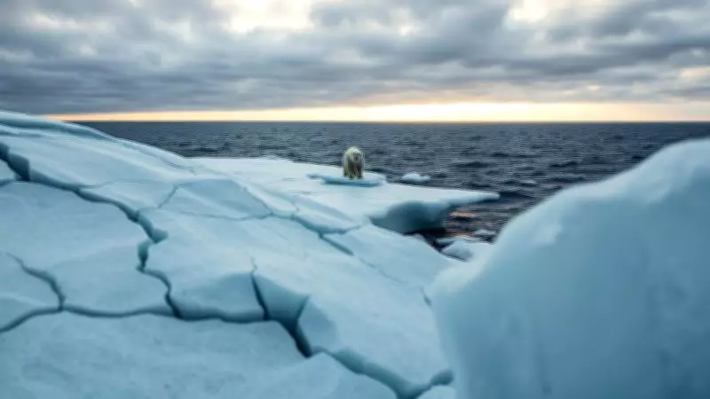 Indian Media Leads Global Climate-Health Journalism, Surpassing US and China