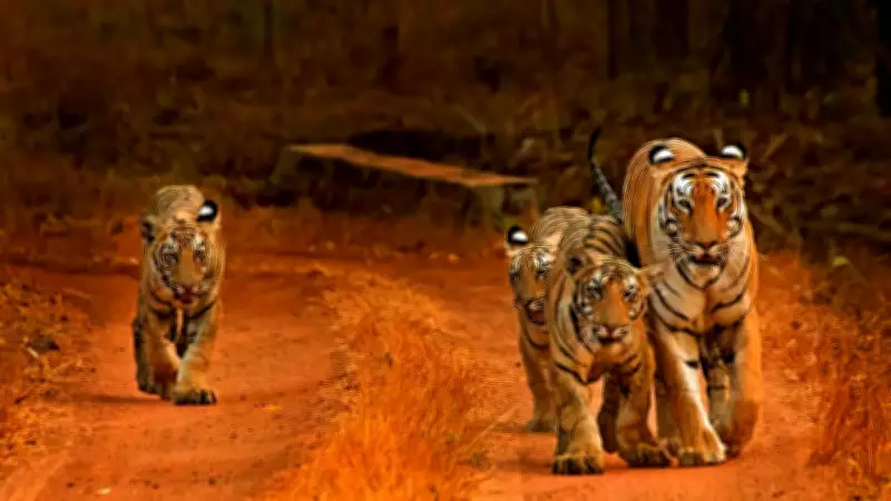 India's 6 Remarkable Wildlife Conservation Success Stories