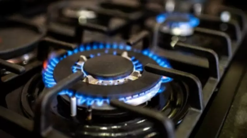 India's Clean Cooking Future: Biogas and Electric Stoves Offer Cost-Effective Path