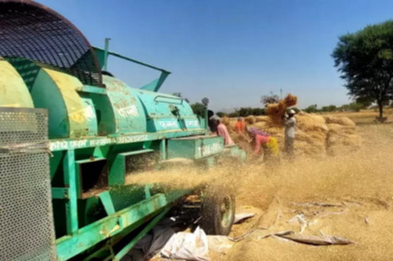 India's Economic Growth Must Integrate Agriculture for Sustainable Development