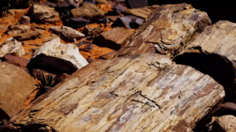 India's Hidden Fossil Treasures: From Dinosaur Nests to Marine Mountains