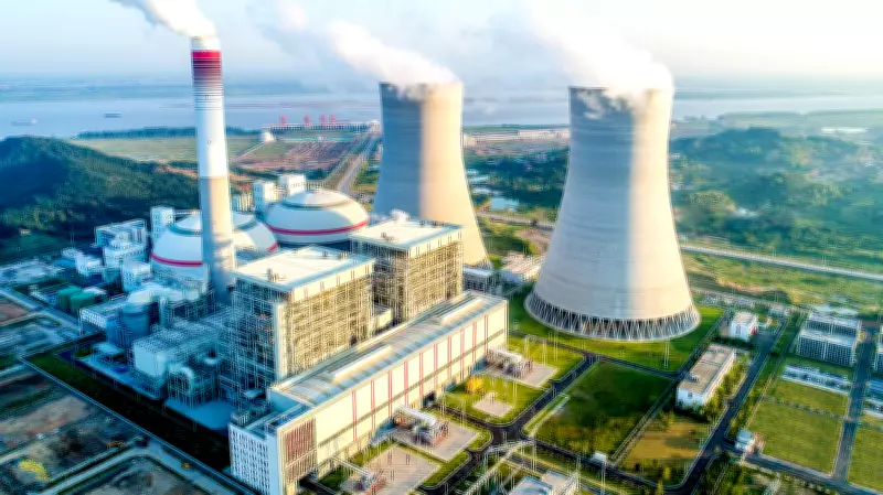 India's Power Capacity Surges Past 50 GW, Led by Renewable Energy Boom