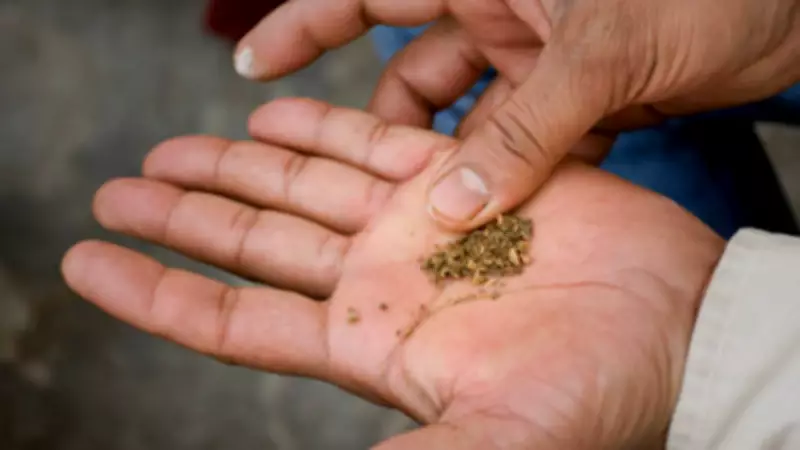 India's Preventable Health Crisis: 260M Tobacco Users, 14-16% Drink Alcohol