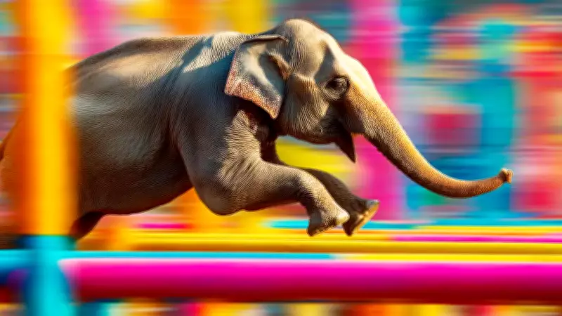 India's Trade Surge: From Confidence to a Record-Breaking Export Sprint