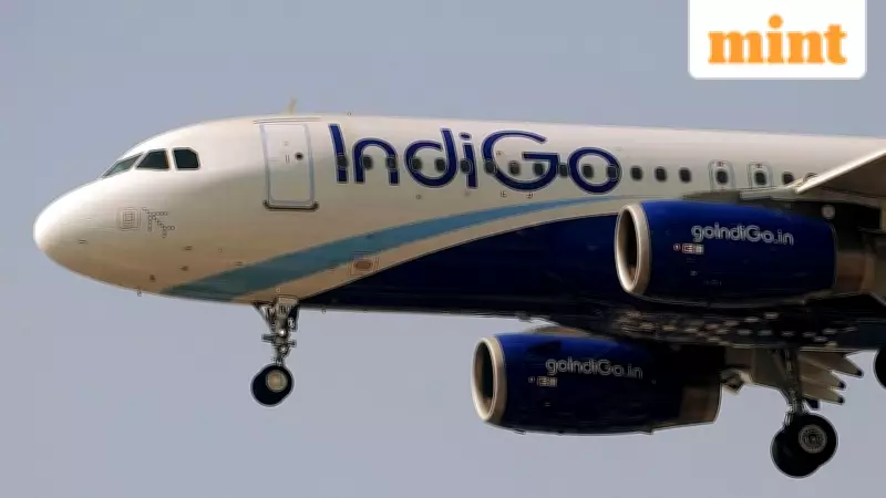 IndiGo Appoints Loyalty Veteran Nik Laming to Lead BluChip Programme Amid Strategic Shift