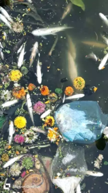 Indrayani River Pollution Crisis Escalates, Threatens Pune Region's Water Supply