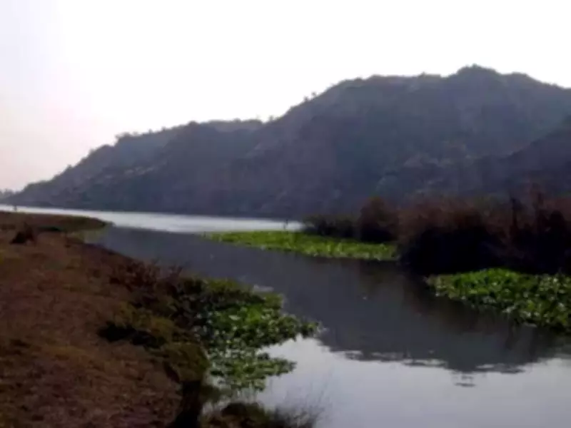 Industrial Boom in Himachal's Baddi-Barotiwala Belt Sparks Interstate Water Crisis