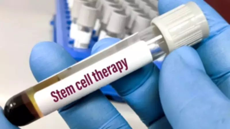Inside India's Stem Cell Therapy Labs: High Costs, Complex Procedures