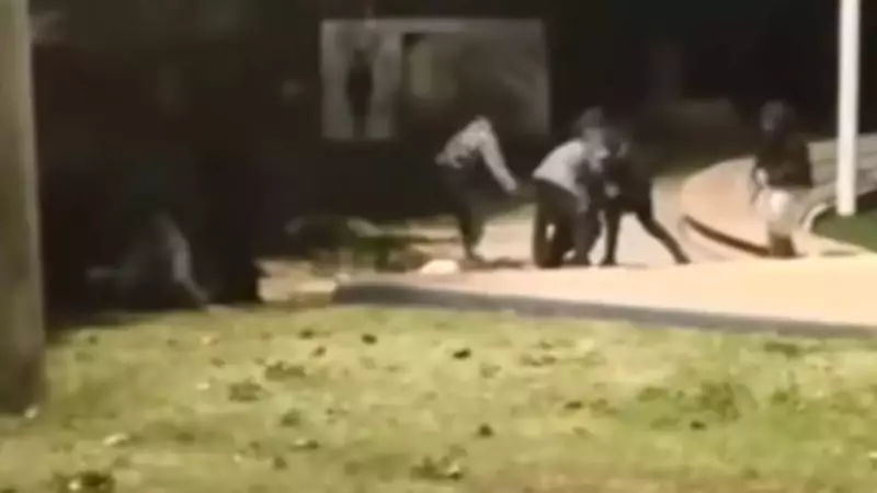 Israeli Embassy Condemns Racist Attack on Indian Workers in Ashkelon