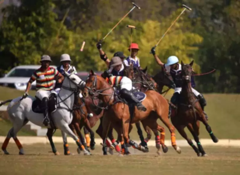 Jaipur Leela and Jindal Bedla Triumph in Maharaja Sawai Man Singh Polo Cup