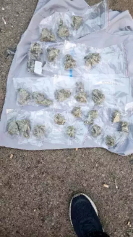 Jaipur Police Seize Rs 80 Lakh Hydroponic Weed, Arrest Two in Sanganer Raid