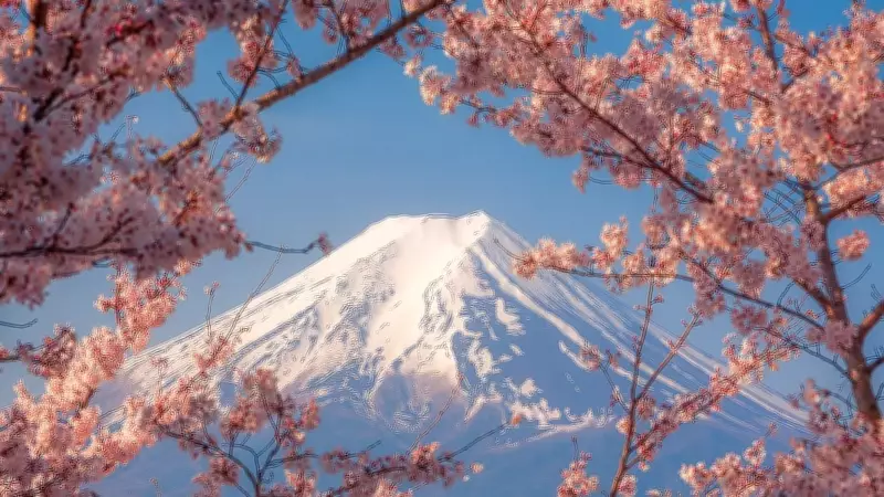 Japan Cancels Iconic Cherry Blossom Festival Amid Overtourism Crisis