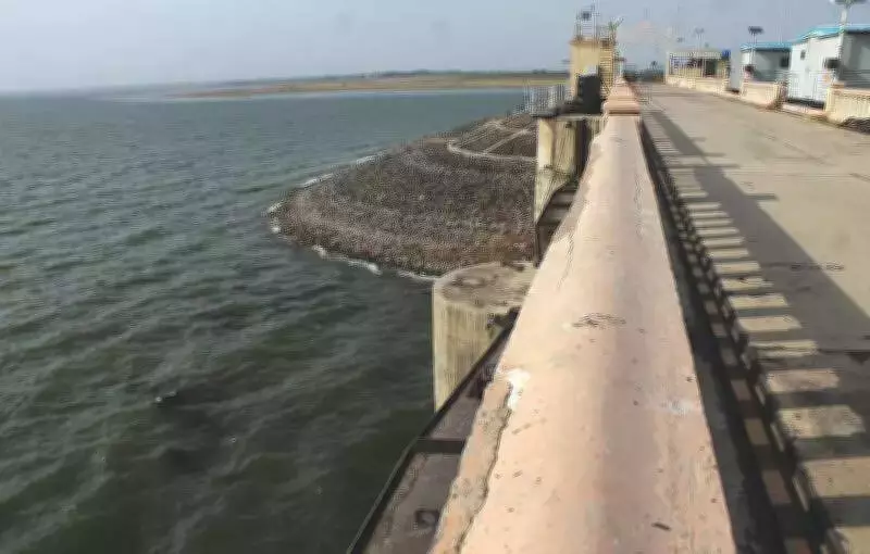 Jayakwadi Dam Marks 50 Years, Experts Push for Tech Upgrade to Boost Irrigation