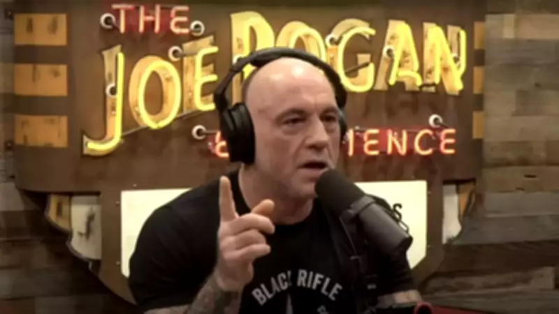 Joe Rogan Reveals Why He Quit Fighting: Brain Trauma and Financial Reality