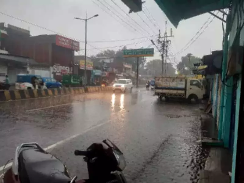 Kanpur Hit by Unseasonal Hailstorm and Heavy Rains, Crops Damaged