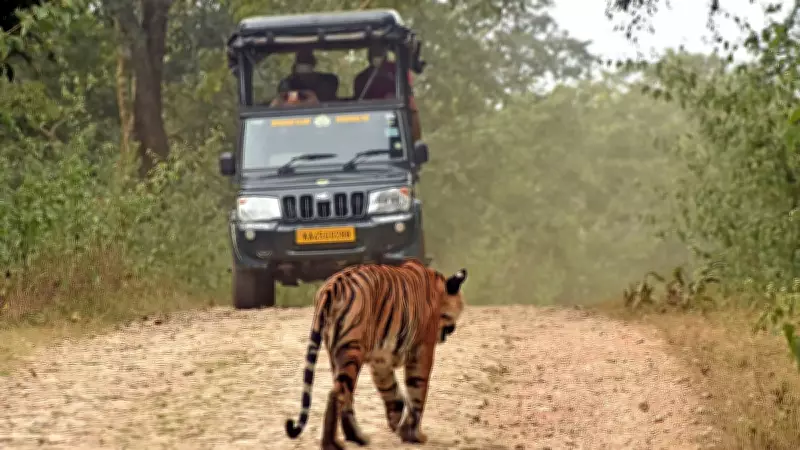 Karnataka Announces Phased Reopening of Tiger Reserve Safaris