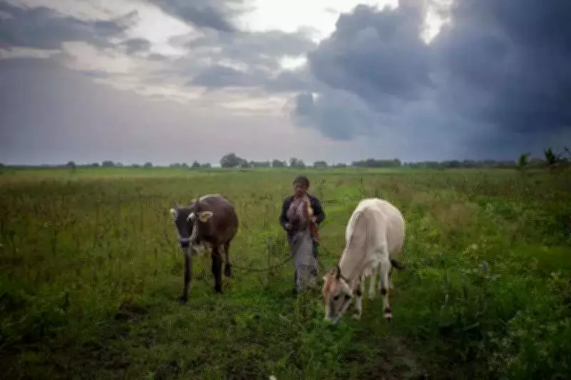 Karnataka Eases Land Use Rules for Pre-2020 Agricultural Land Projects