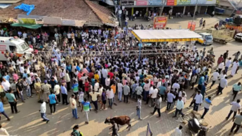 Karnataka: FIR Filed Against 29 After Protest Over Elephant Attack Incident