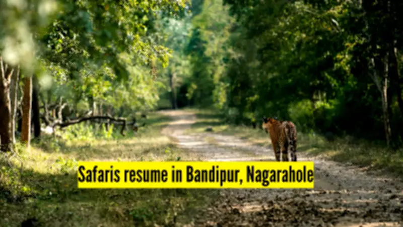 Karnataka Resumes Tiger Reserve Safaris with Strict New Safety Protocols