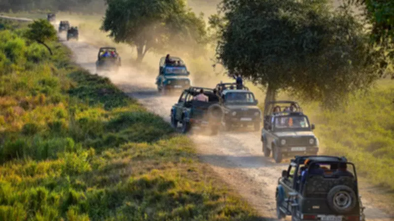 Karnataka Safari Ban Lifted: Tourism Cheers, Farmers Voice Opposition