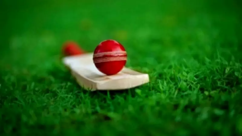 Karnataka's Cricket Team Falls Short in Quarter-Finals, Ending Season