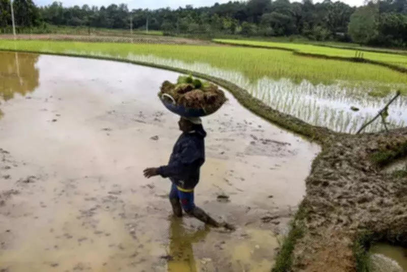 Karnataka's Farm Crisis: Unscientific Irrigation Damages 70,000 Hectares