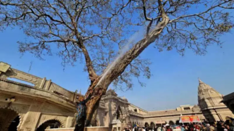 Kashi Vishwanath Dham Launches Conservation Drive for Ancient Peepal Tree