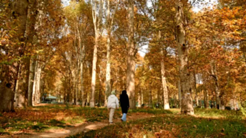 Kashmiri Youth Shift Perspective: Pakistan's Reality Versus Myth Examined