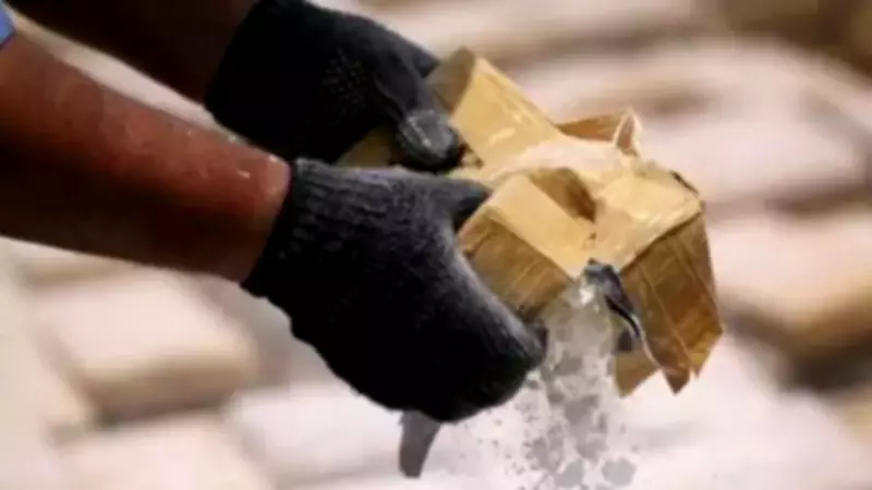 Kathua Police Bust Pakistan-Linked Drone Drug Module, Arrest Two Peddlers