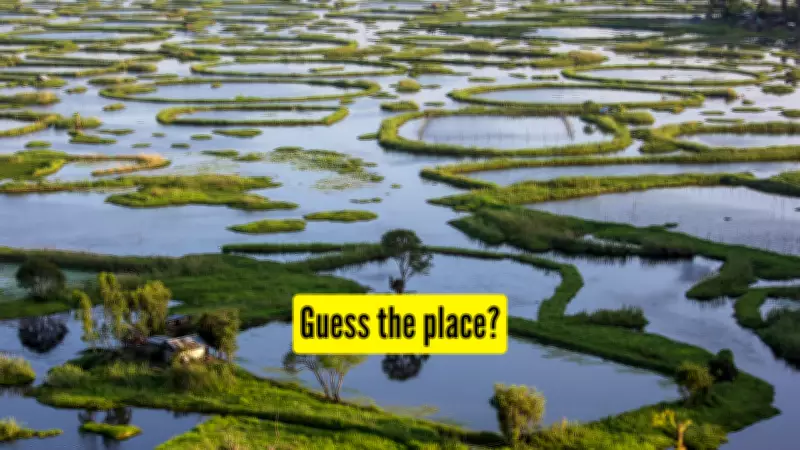 Keibul Lamjao: The World's Only Floating National Park in Manipur