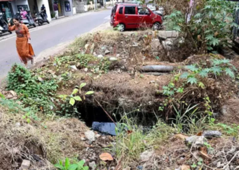 Kerala High Court Directs Swift Restoration of Kochi's Mullassery Canal Before Monsoon