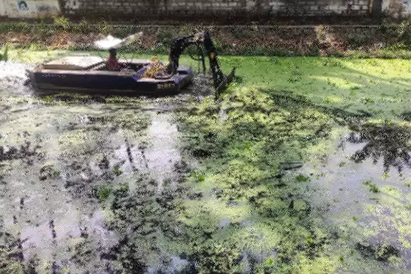 Kerala Human Rights Commission Orders Urgent Cleanup of Water Hyacinth in City Canals