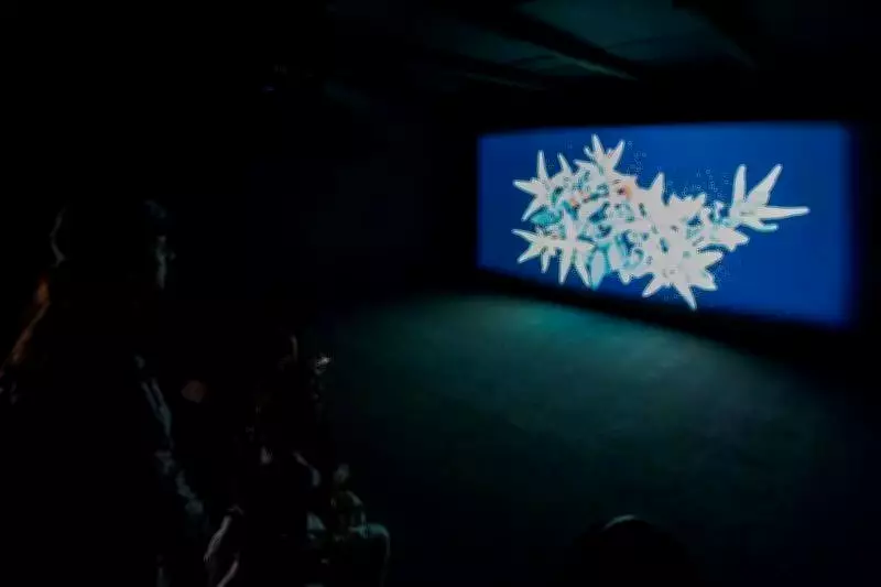 Kochi Art Installation Explores Vanilla's Colonial Displacement Through Sound