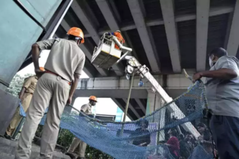 Kochi Metro Cat Rescue: Multi-Agency Effort Suspended After 6-Hour Operation