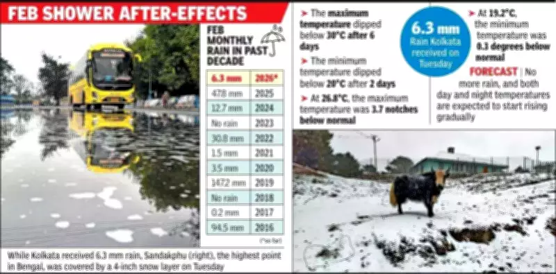 Kolkata Sees First Rain in Four Months, Temperature Dips Temporarily